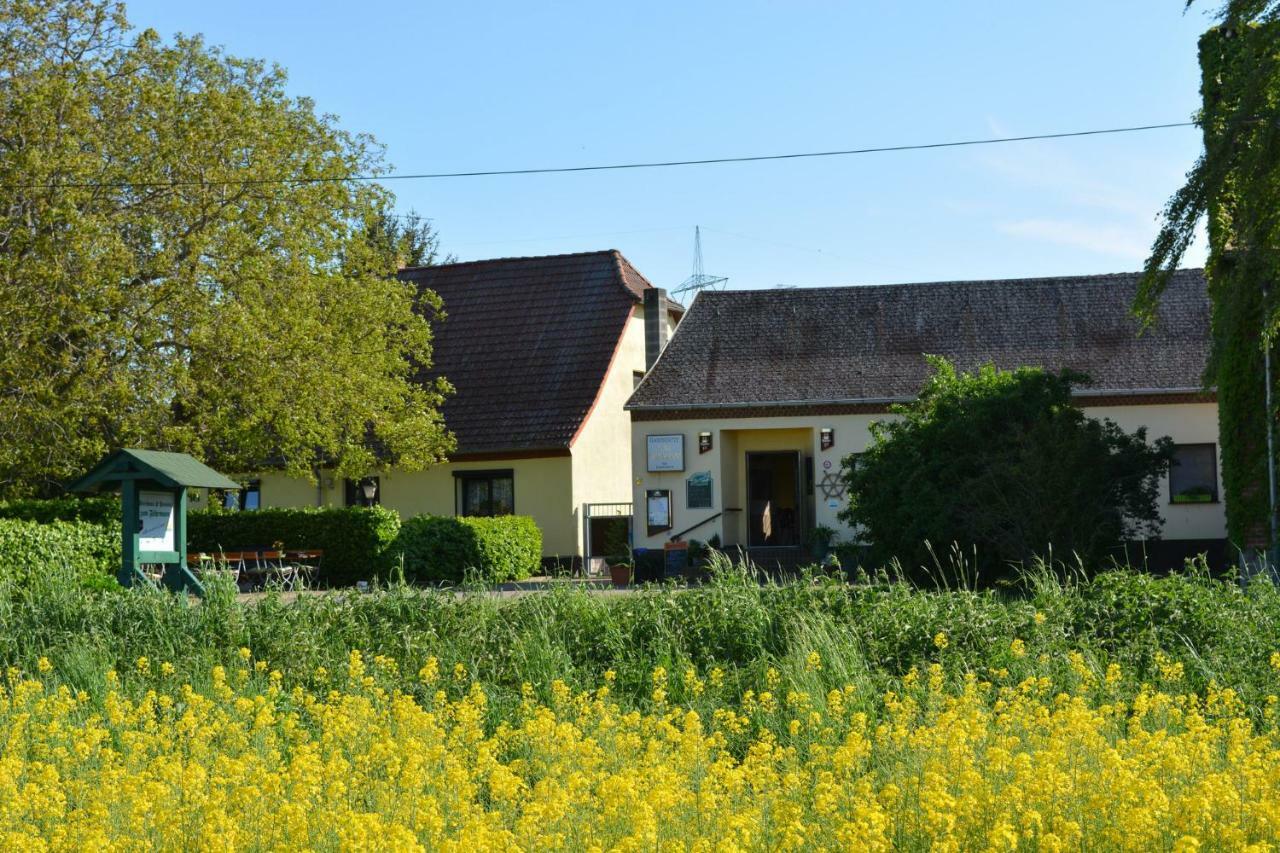 Gaststatte "Zum Fahrmann" Hotel Walternienburg Buitenkant foto